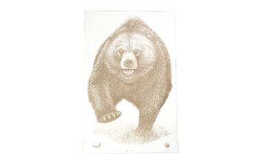 ACTION TGT AK STATE PARK BEAR 100PK