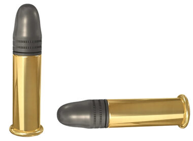 SK 420137 High Velocity  22LR 40gr High Velocity Match 50 Per Box/100 Case