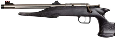 Chipmunk 40103 Hunter  Youth Frame 22 LR Single Shot 9" Threaded Stainless Steel Barrel, Black Laminate Frame