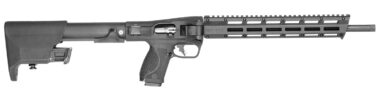 S&W M&P FPC 14172 22LR 16.25 10R BLK