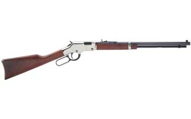 HENRY SILVER BOY 17HMR 20"