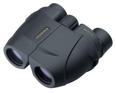 LEUPOLD BINOCULAR BX1 ROGUE 10X25  BLK