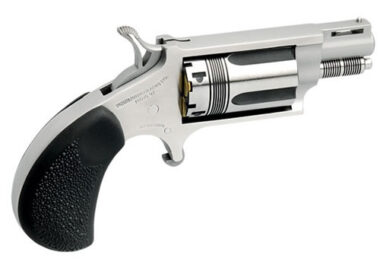 NORTH AMERICAN ARMS THE WASP 22MAG REV 1-1/8" SS