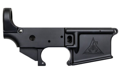 RISE STRIPPED AR 15 LOWER BLK