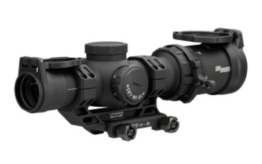 SIG TANGO-MSR CMP 1-10X24 SFP BDC10