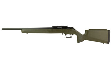 SPRGFLD 2020 RF 22LR 20" ODG 10RD