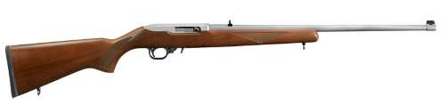 RUGER 10/22 22LR SS/WD 22"