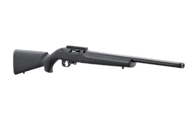 RUGER 10/22 20" TB HOGUE 10RD BLK