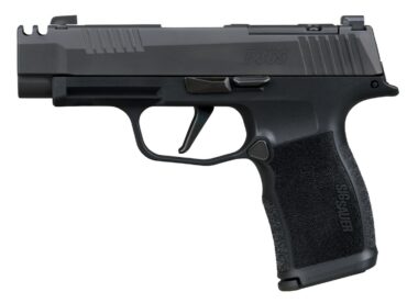 Sig Sauer 365XL380COMP10 P365XL 380 ACP 10+1 3.10" Black Ported Barrel, Black Nitron Stainless Steel Optic Cut/Ported/Serrated Slide, Black Stainless Steel Frame w/Picatinny Rail, Textured Grip, SIG-L
